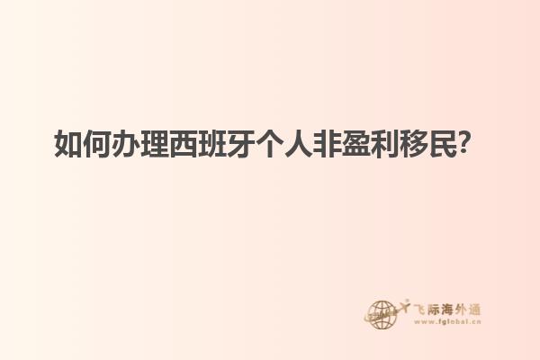 如何办理西班牙个人非盈利移民？