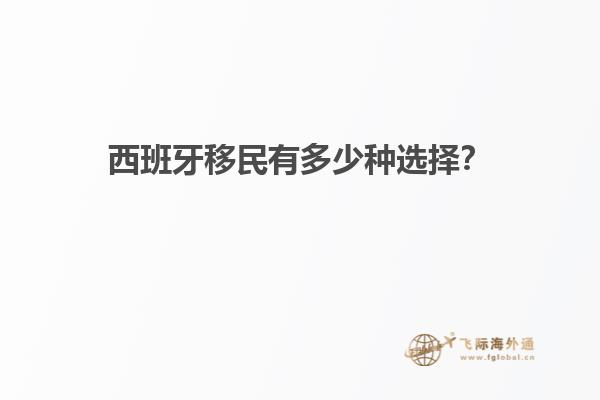 西班牙移民有多少种选择？