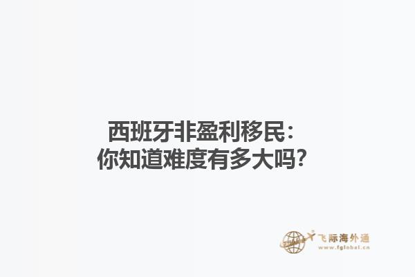西班牙非盈利移民：你知道难度有多大吗？
