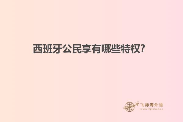 西班牙公民享有哪些特权？