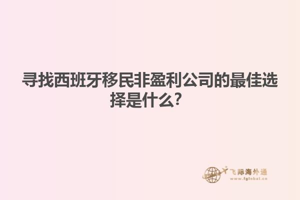 寻找西班牙移民非盈利公司的最佳选择是什么？