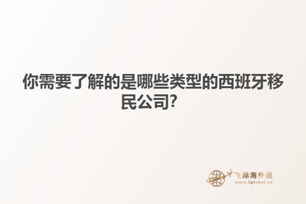 你需要了解的是哪些类型的西班牙移民公司？