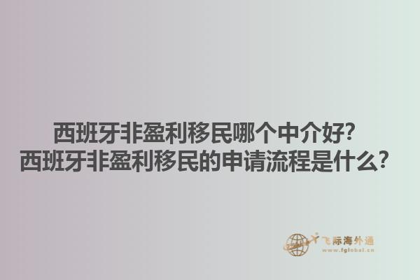 西班牙非盈利移民哪个中介好？西班牙非盈利移民的申请流程是什么？