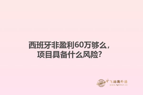 西班牙非盈利60万够么，项目具备什么风险？