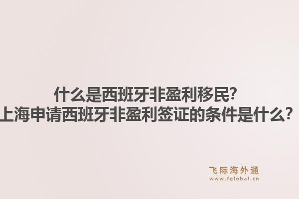 什么是西班牙非盈利移民？上海申请西班牙非盈利签证的条件是什么？