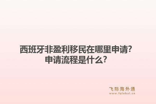 西班牙非盈利移民在哪里申请？申请流程是什么？