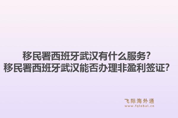 移民署西班牙武汉有什么服务？移民署西班牙武汉能否办理非盈利签证？