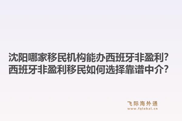 沈阳哪家移民机构能办西班牙非盈利？西班牙非盈利移民如何选择靠谱中介？