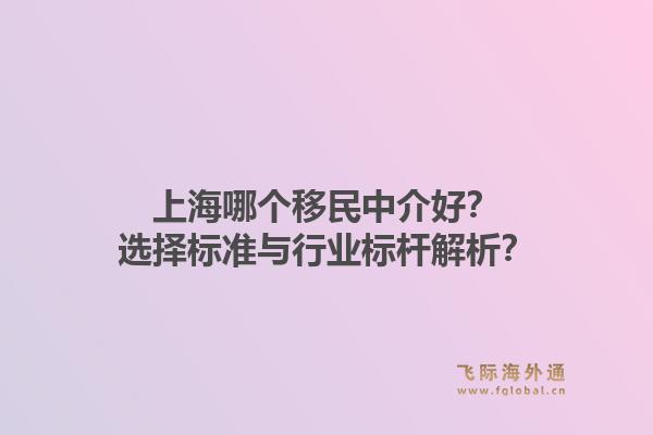 上海哪个移民中介好?选择标准与行业标杆解析?1.jpg