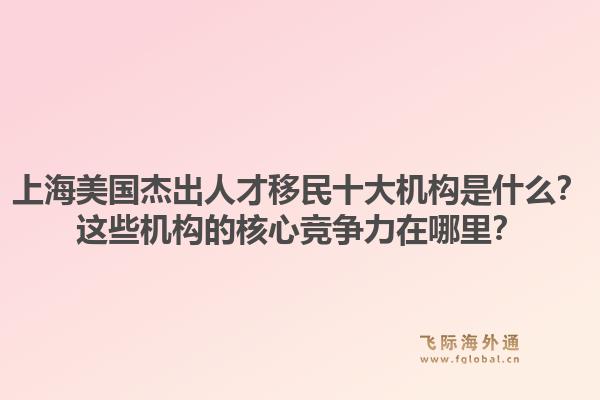 上海美国杰出人才移民十大机构是什么？这些机构的核心竞争力在哪里？