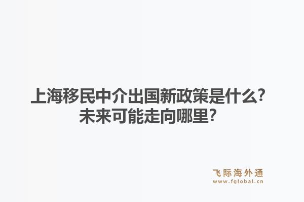 上海移民中介出国新政策是什么？未来可能走向哪里？