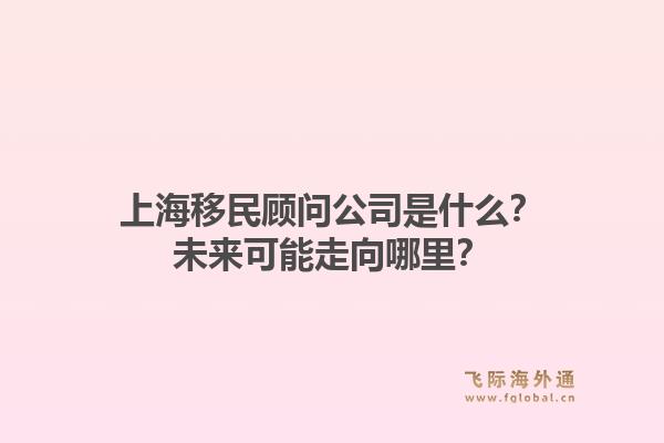 上海移民顾问公司是什么？未来可能走向哪里？