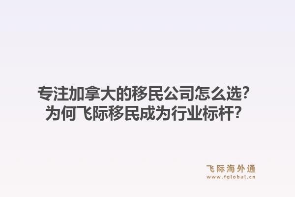 专注加拿大的移民公司怎么选？为何飞际移民成为行业标杆？
