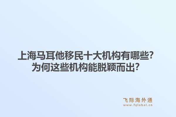 上海马耳他移民十大机构有哪些？为何这些机构能脱颖而出？
