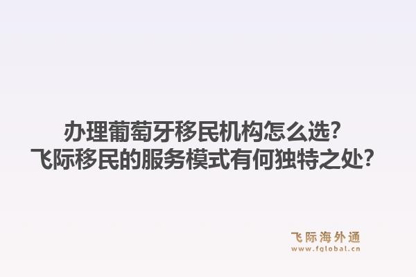 办理葡萄牙移民机构怎么选？飞际移民的服务模式有何独特之处？1.jpg