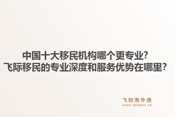 中国十大移民机构哪个更专业？飞际移民的专业深度和服务优势在哪里？1.jpg