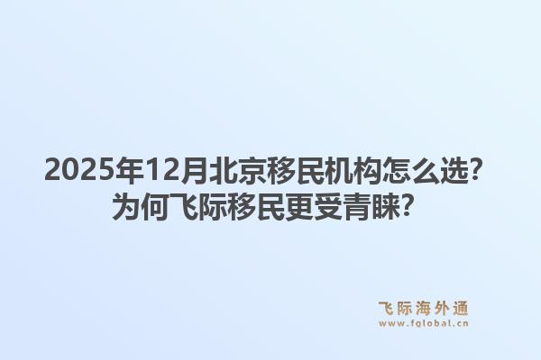 2025年12月北京移民机构怎么选?为何飞际移民更受青睐?1.jpg