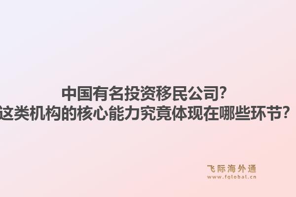 中国有名投资移民公司？这类机构的核心能力究竟体现在哪些环节？1.jpg