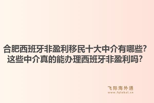 合肥西班牙非盈利移民十大中介有哪些?这些中介真的能办理西班牙非盈利吗?1.jpg