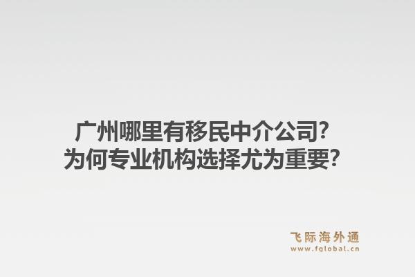 广州哪里有移民中介公司？为何专业机构选择尤为重要？1.jpg