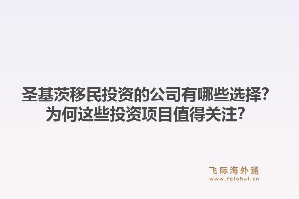 圣基茨移民投资的公司有哪些选择?为何这些投资项目值得关注?1.jpg