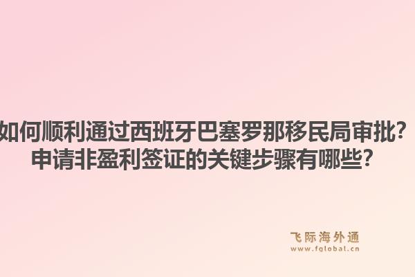 如何顺利通过西班牙巴塞罗那移民局审批?申请非盈利签证的关键步骤有哪些?1.jpg