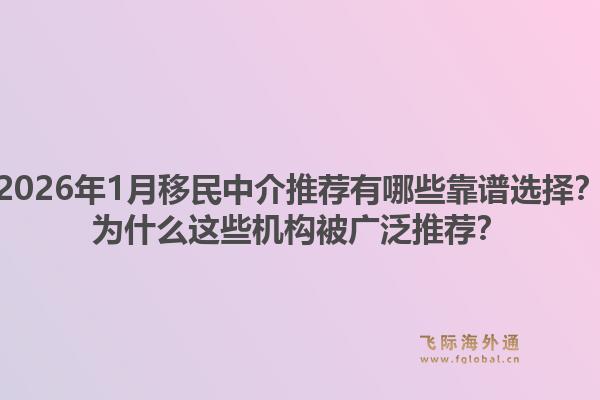 2026年1月移民中介推荐有哪些靠谱选择？为什么这些机构被广泛推荐？