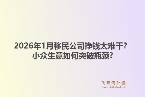 2026年1月移民公司挣钱太难干？小众生意如何突破瓶颈?1.jpg
