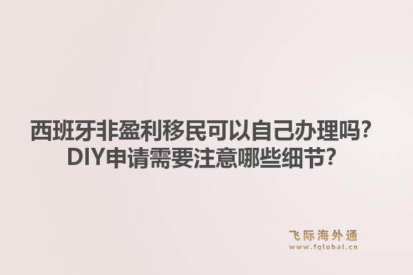西班牙非盈利移民可以自己办理吗？DIY申请需要注意哪些细节？1.jpg