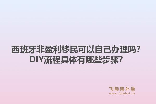 西班牙非盈利移民可以自己办理吗？DIY流程具体有哪些步骤？1.jpg