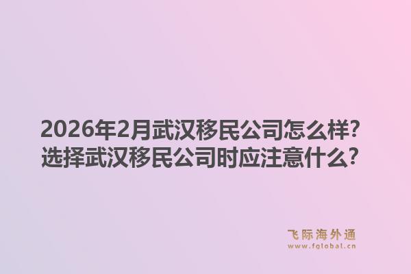 2026年2月武汉移民公司怎么样？选择武汉移民公司时应注意什么？