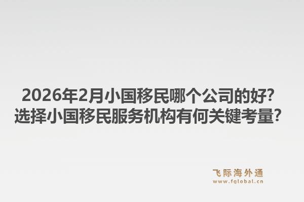 2026年2月小国移民哪个公司的好？选择小国移民服务机构有何关键考量？