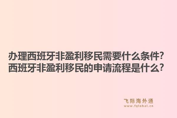 办理西班牙非盈利移民需要什么条件？西班牙非盈利移民的申请流程是什么？1.jpg