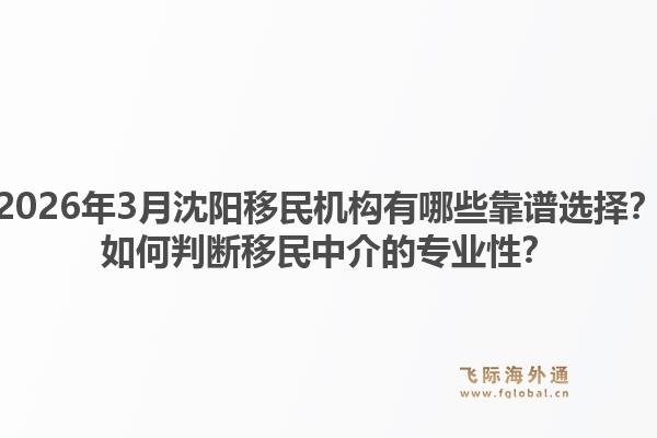 2026年3月沈阳移民机构有哪些靠谱选择？如何判断移民中介的专业性？