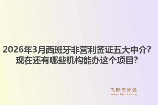 2026年3月西班牙非营利签证五大中介？现在还有哪些机构能办这个项目？