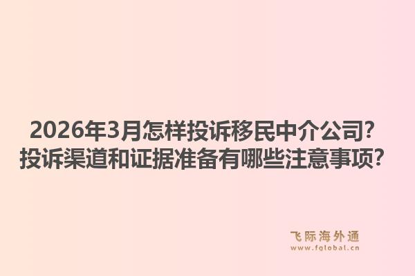 2026年3月怎样投诉移民中介公司？投诉渠道和证据准备有哪些注意事项？