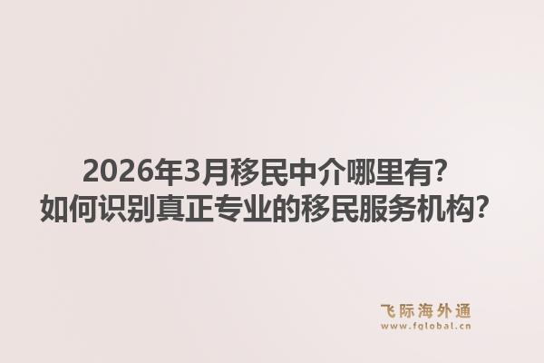 2026年3月移民中介哪里有？如何识别真正专业的移民服务机构？
