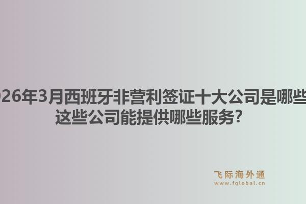 2026年3月西班牙非营利签证十大公司是哪些？这些公司能提供哪些服务？